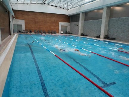 beylikdüzü yüzme kulübü antreman